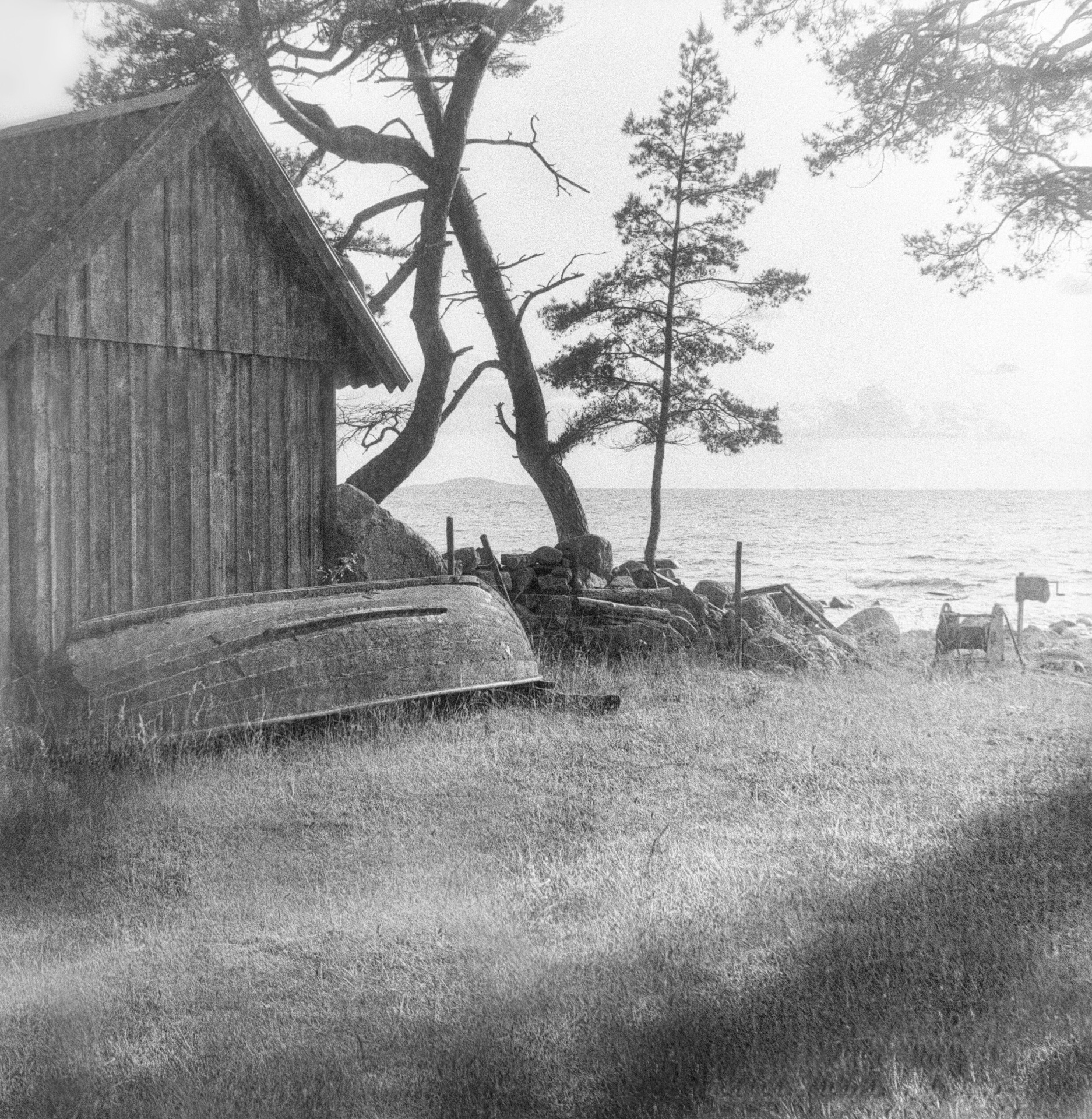 Hagskog Öland Kodak PXP