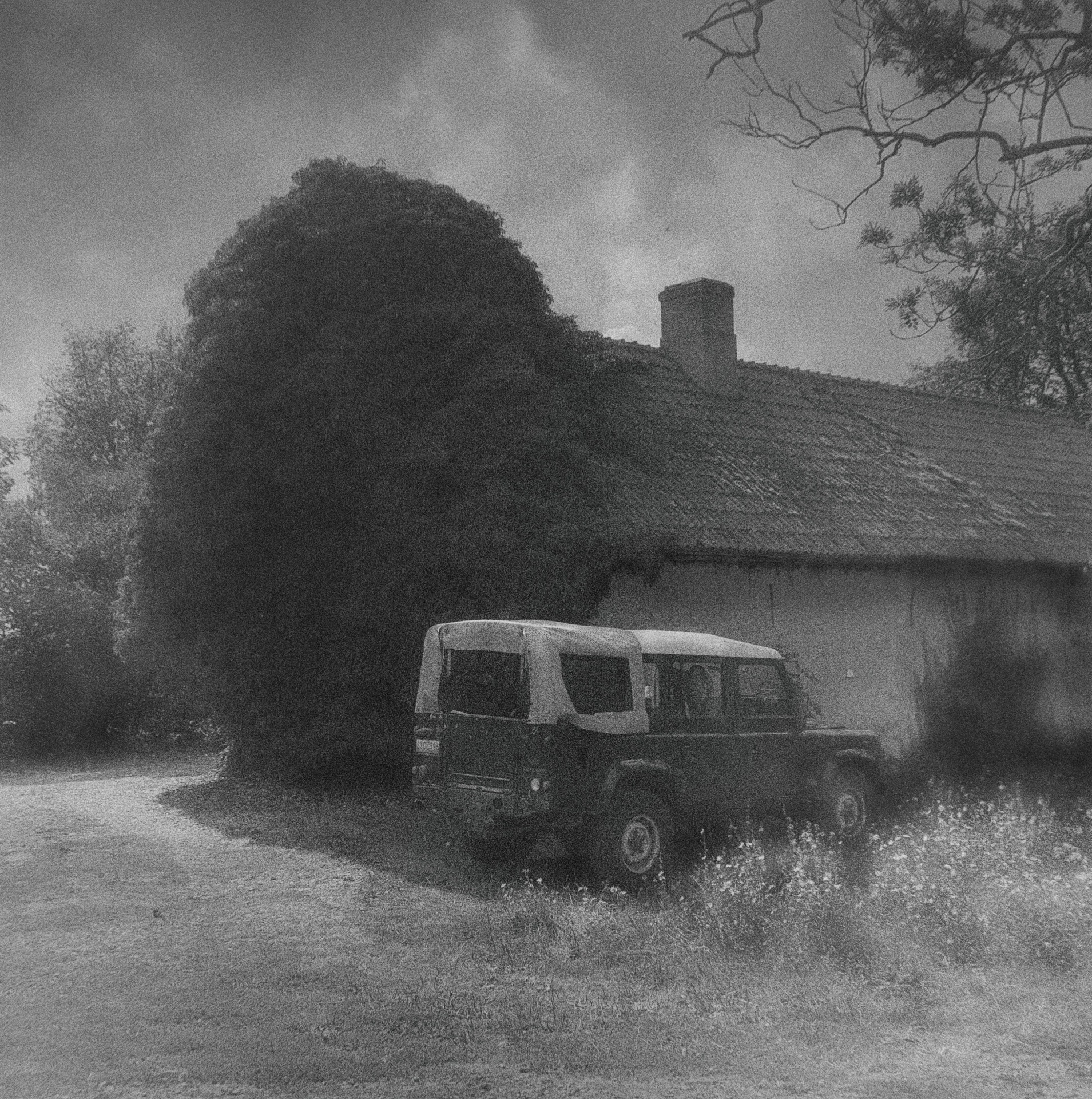Torngård Öland Kodak Tmax 400