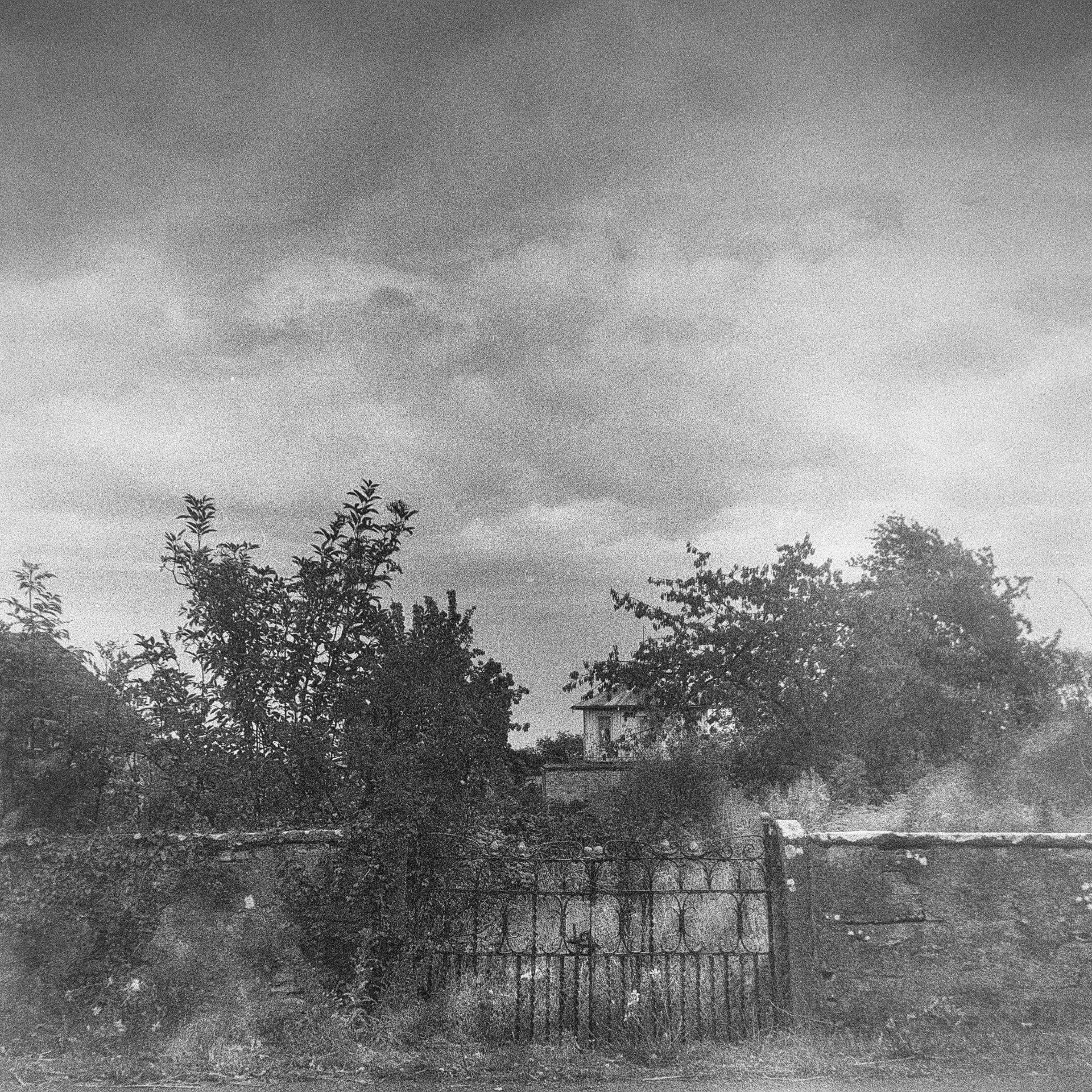 Torngård Öland 2 Kodak Tmax 400