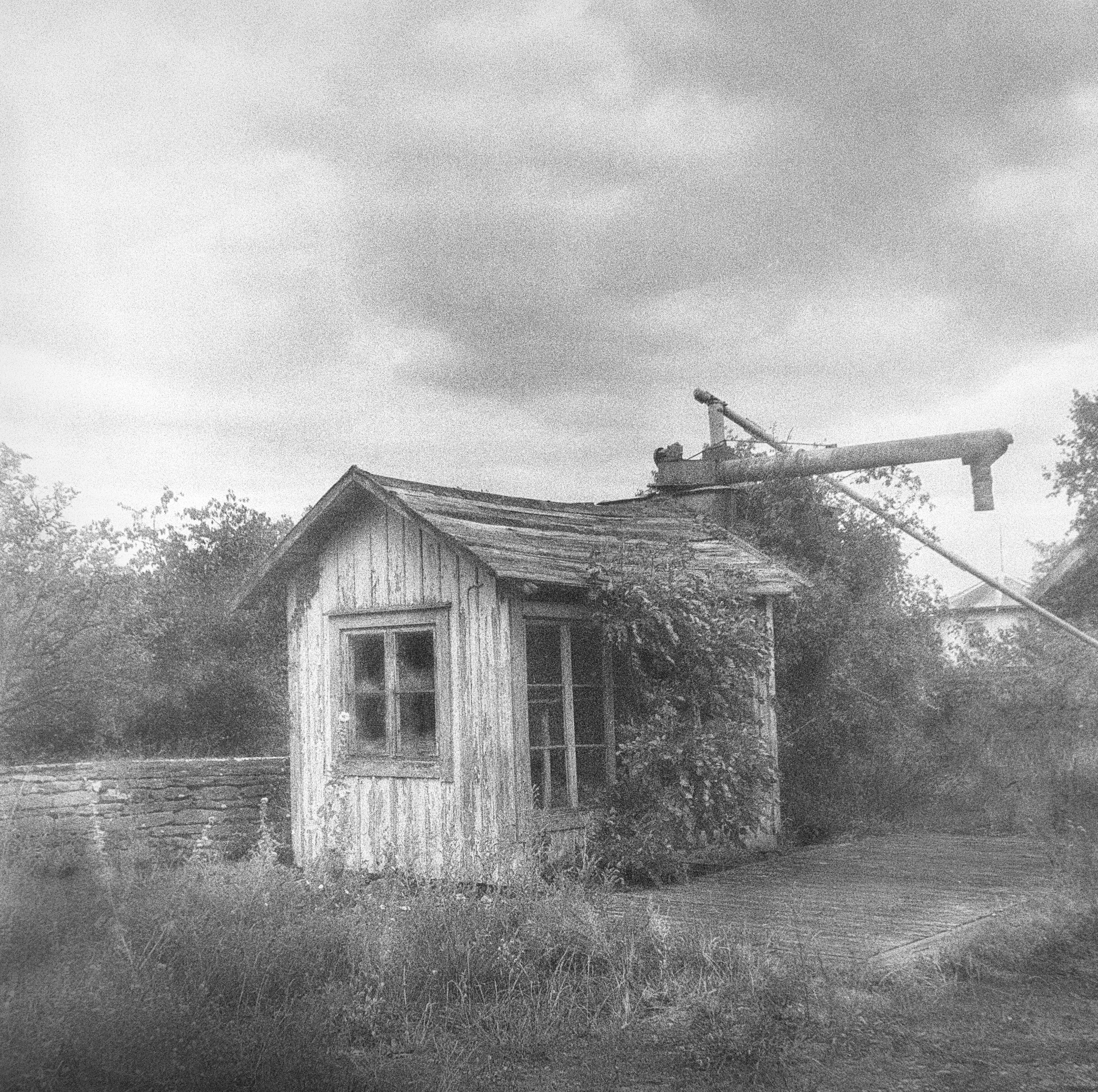 Torngård 3 Öland Kodak Tmax 400
