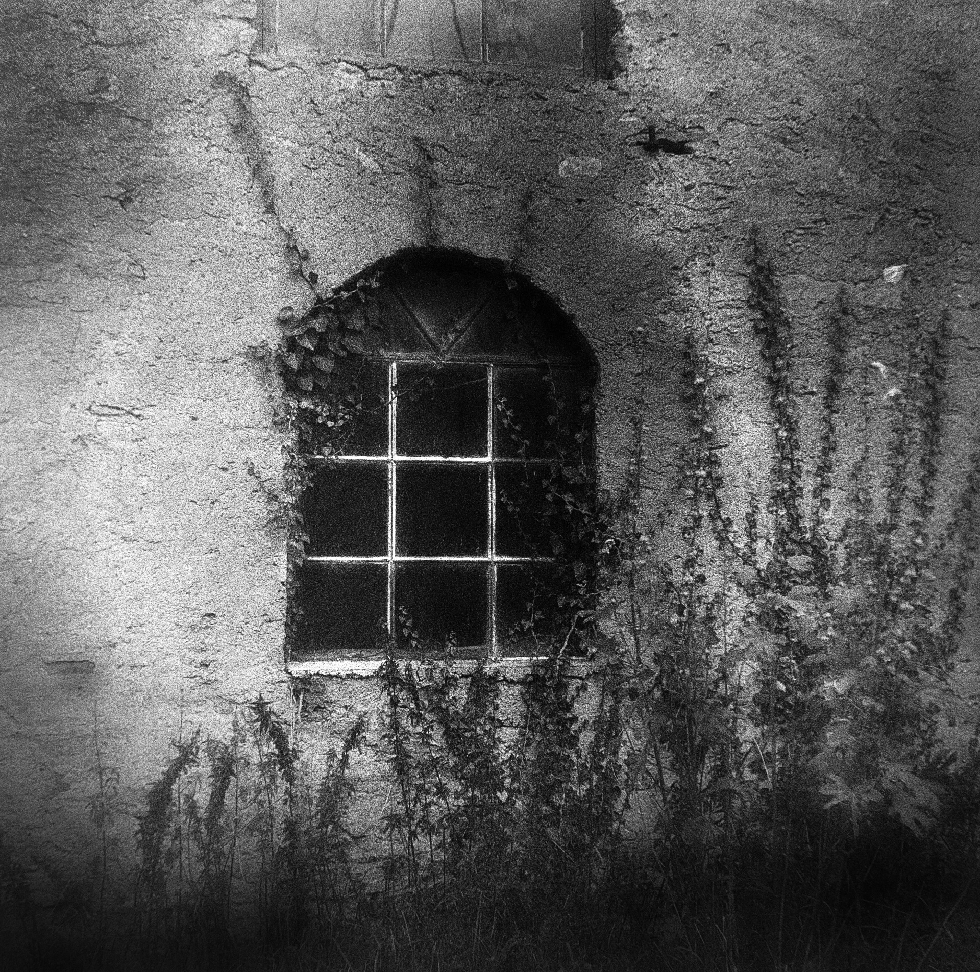 Torngård 4 Öland Kodak Tmax 400