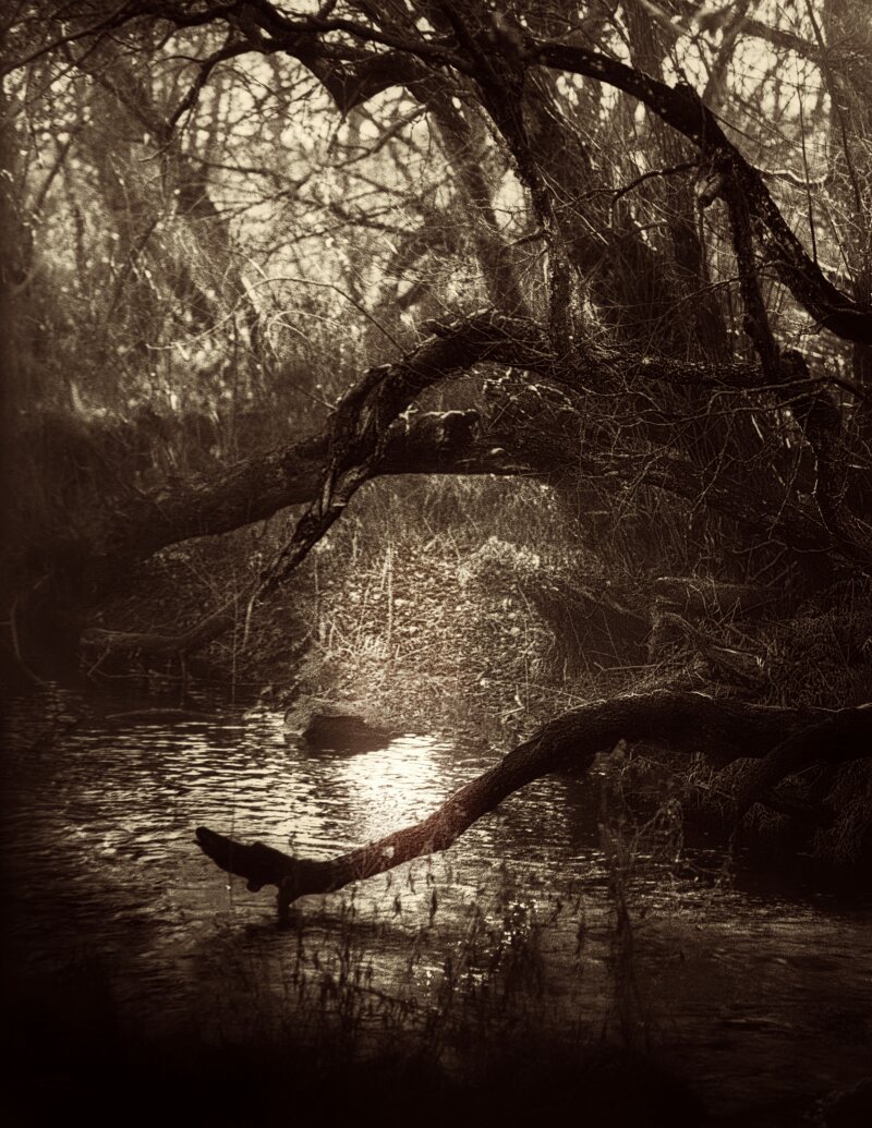 Alsterån Ålem Kodak PXP